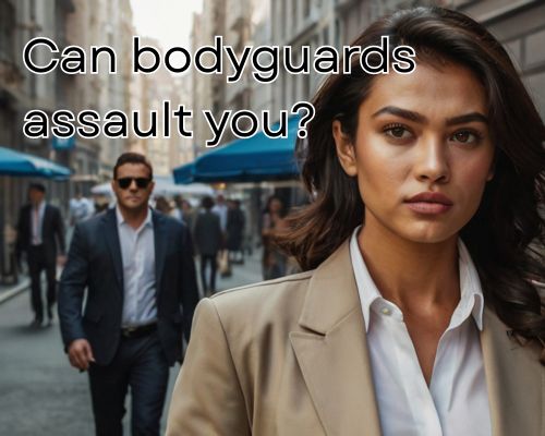 Bodyguard stands firm beside VIP.