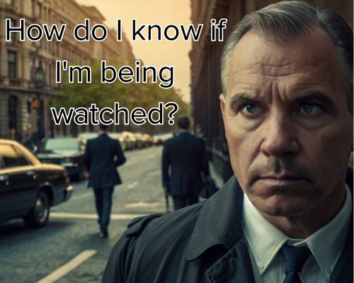 a private investigator having someone watched on